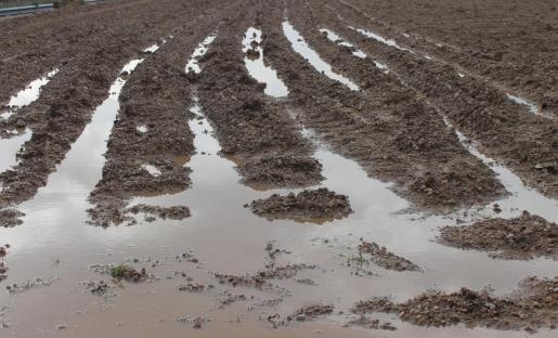 Agricultura